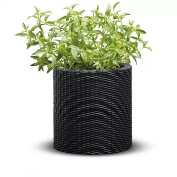 KETER 29197833939 cilindriskais puķu pods, pelēks, 12L, izturīgs sveķu pods ar drenāžu