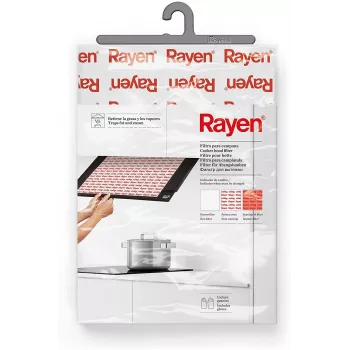 RAYEN filtrs tvaika nosūcējam ar indikatoru 57x47cm