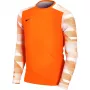 Nike Dry Park IV JSY LS GK Junior vārtsarga džemperis oranžs CJ6072 819