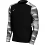 Nike Dry Park IV JSY LS GK Junior vārtsarga krekls ar garām piedurknēm, melns CJ6072 010 M