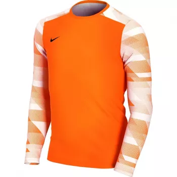 Nike Dry Park IV JSY LS GK Junior vārtsarga džemperis oranžs CJ6072 819 XL