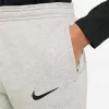 Nike Park 20 Fleece bikses bērniem gaiši pelēkas CW6909 063
