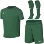 Nike Dri-FIT Park VIII mazu bērnu sporta komplekts zaļš HV8260 302 S izmērs