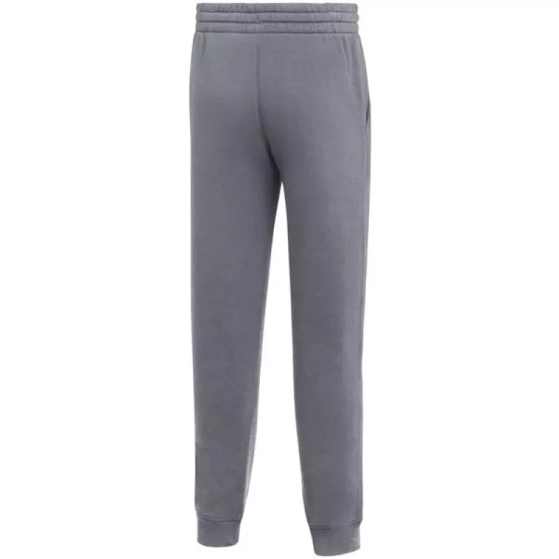 Nike Park 26 flīsa bikses bērniem, pelēkas IB1252 071 M