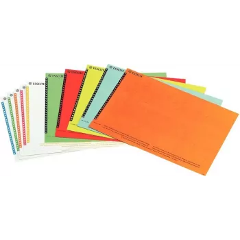 LEITZ Esselte piekaramo failu mapju etiķetes skapjiem, baltas, 60 x 12 mm, 100 etiķetes (326400)