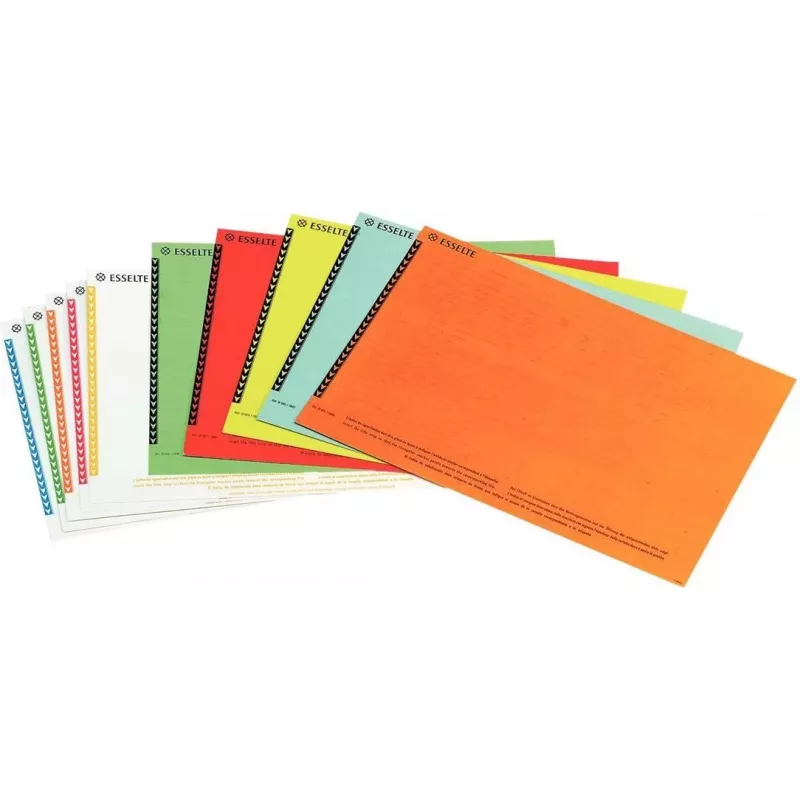 LEITZ Esselte piekaramo failu mapju etiķetes skapjiem, baltas, 60 x 12 mm, 100 etiķetes (326400)