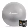 SCHILDKROT vingrošanas bumba 65 cm sudraba Anti-Burst 960156