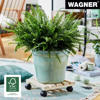 WAGNER design yourself augu ratiņi GH0037, dižskābarža koks, bēšs, kvadrātveida, 29 x 29 x 8,3 cm, 100 kg nestspēja 20003701