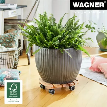 WAGNER Multiroller ERLE soft rund Ø34cm augu ratiņi, masīva alkšņa koksne, 100 kg, 3 grozāmie ritentiņi, grīdu aizsargājoši 20026201