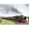Märklin BR 24 tvaika lokomotīve 36244