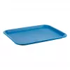 APS paplāte zila taisnstūra 35,0 x 27,0 cm (539)