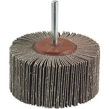 Wolfcraft 2037000 lamelu slīpēšanas uzgalis 20 mm diametrā, 6 mm kāts, P80 graudainība, 25 000 RPM