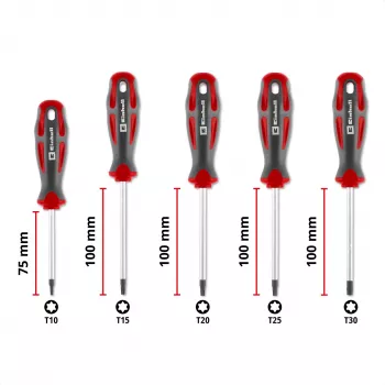 Einhell Universal Torx skrūvgriežu komplekts T10-T30, 5 gab., magnētiski uzgaļi, hroma vanādija tērauds, ergonomiski divu materiālu rokturi, darbnīcai un DIY 370537