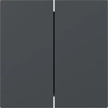 Gira Rocker Switch Cover 349528, 2-gang, taisns, antracīta, System 55