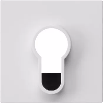Gira pārsega plāksne atslēgas slēdzim, System 55, tīri balta spīdīga, 55 x 55 mm 866403