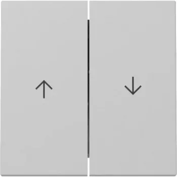 GIRA 3294015 2-kāršu pārslēga taustiņš ar bultiņām System 55, pelēks mats