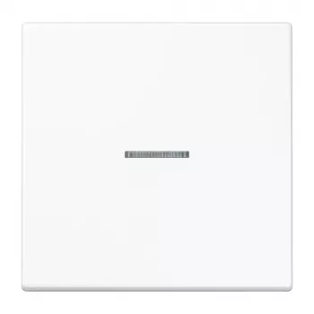 Jung KNX RF pogas modulis 1-gang, termoreaktīvs, LS sērija, Alpine White LS10911STRFWW