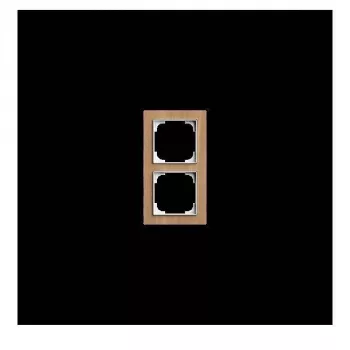 BUSCH-JAEGER 1722-4083 2 vietu ozolkoka rāmītis 2CKA001754A4888