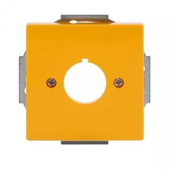 Busch-Jaeger future® linear centrālā pārsega plāksne, dzeltena, 1 moduļa, priekšslēdža ieliktņiem 2CKA001724A4382