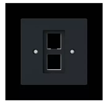 Busch-Jaeger centrālā plate ar atbalsta gredzenu modulārajai ligzdai 2561-02-45M 2CKA001753A9929