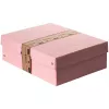 FALKEN PURE glabāšanas kaste 1250 lapām pasteļrozā 24.0 x 32.0 x 10.0 cm 22001888000F