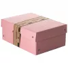 FALKEN PURE Dokumentu glabāšanas kaste 1250 lapām pasteļrozā 18,0 x 25,0 x 10,0 cm, 1 gab. 22001896000F