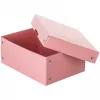 FALKEN PURE Dokumentu glabāšanas kaste 1250 lapām pasteļrozā 18,0 x 25,0 x 10,0 cm, 1 gab. 22001896000F