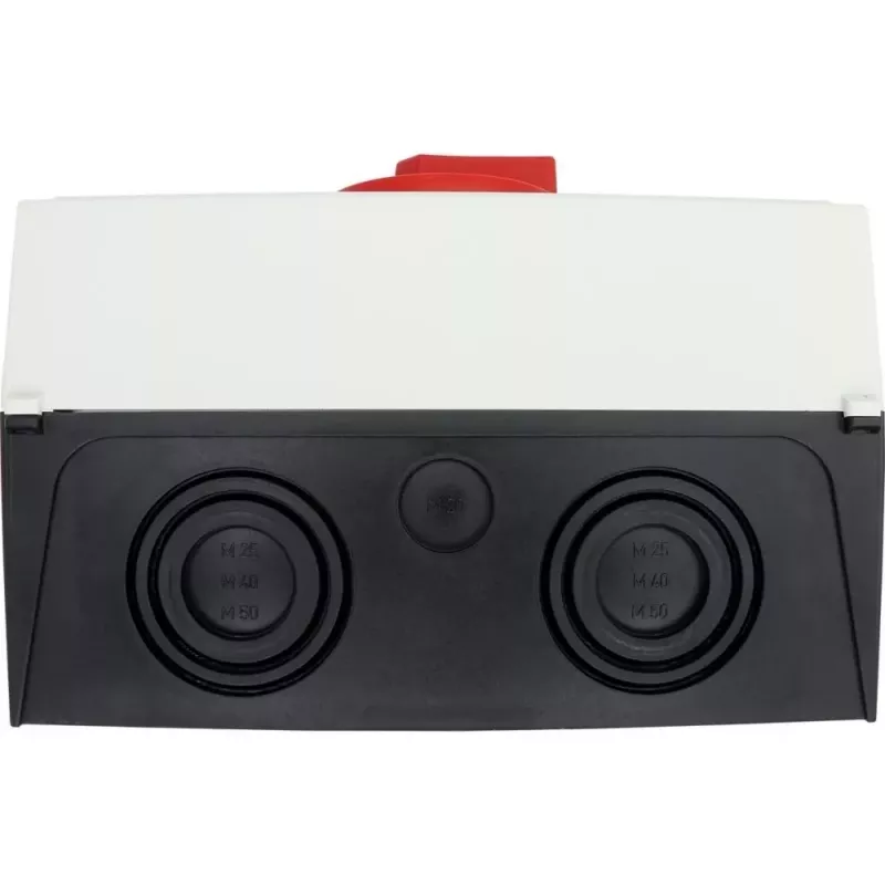 Eaton P3-100/I5/SVB/N virsmas montāžas galvenais slēdzis 100 A 4-polu 207379