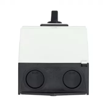 Eaton T3-4-8902/I2 4 polu 32A galvenais slēdzis, pelēks 215224