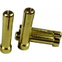 Reely adapteris 4mm zelta kontakta spraudnis uz 5mm zelta kontakta ligzdu 1605782