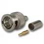 Telegärtner BNC vīriešu kriminālais savienotājs 75 Ohm RG59/RG62/RG179/RG187/RG316 J01002A0030