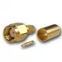 Telegärtner SMA kabeļa spraudnis Crimp/Solder G01 (RG-58C/U), zelta, 1 gab.