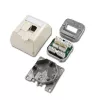 Telegärtner Cat.6 ekranēta RJ-45 tīkla sienas kontaktligzda, pērļbaltā