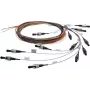 TELEGÄRTNER ST daudzmodu šķiedras optiskais pigtails, 1m, OM2, LSZH, oranžs L00819A0067