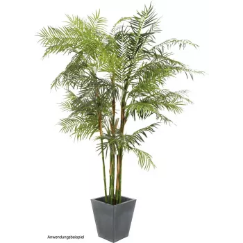 EUROPALMS Cycas palma mākslīgais augs, 280cm 82511360
