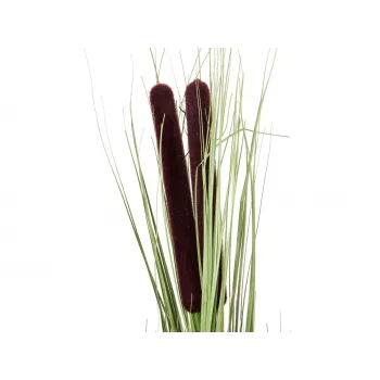 EUROPALMS mākslīgā niedru zāle ar vārpām, gaiši zaļa, 152cm 82505855