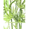 EUROPALMS mākslīgā cipresu zāle, 76cm, melnā podā 82600138