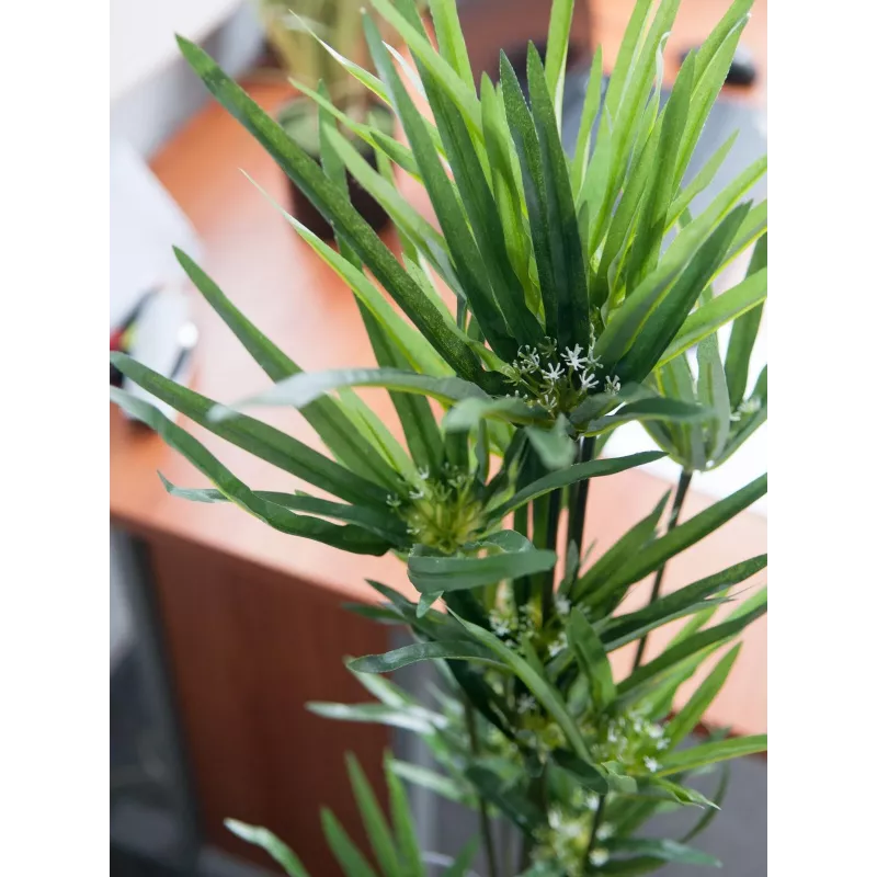 EUROPALMS mākslīgā cipresu zāle, 76cm, melnā podā 82600138