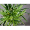 EUROPALMS mākslīgā cipresu zāle, 76cm, melnā podā 82600138