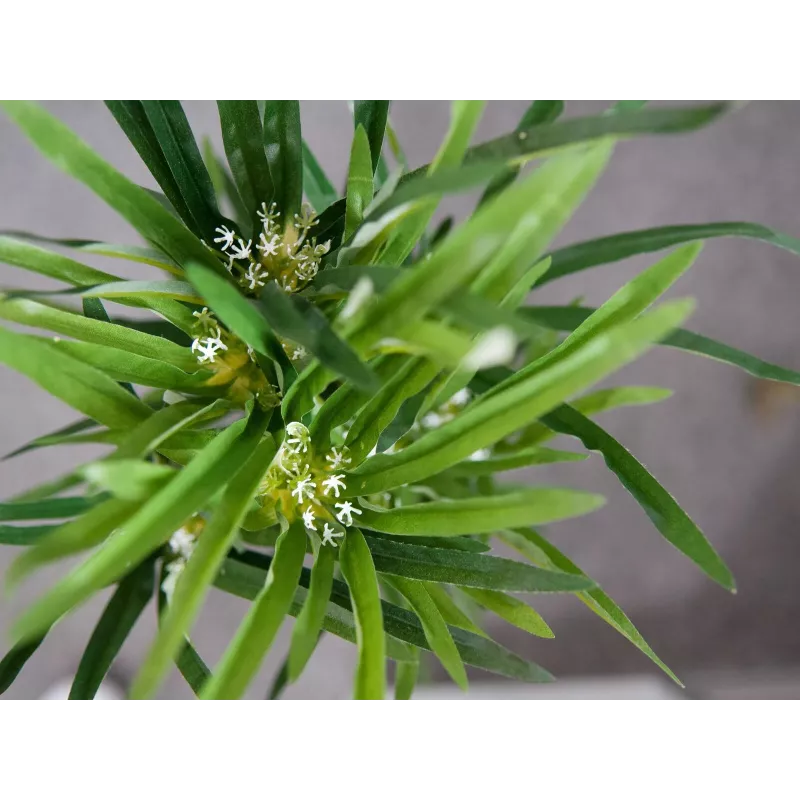 EUROPALMS mākslīgā cipresu zāle, 76cm, melnā podā 82600138