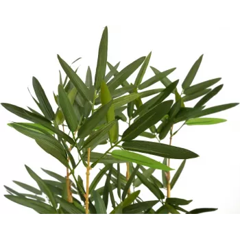 EUROPALMS mākslīgais bambuss dekoratīvā bļodā, 150cm 82509262