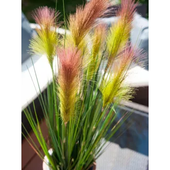 EUROPALMS spalvu zāle, mākslīga, rozā, 90cm 82505865