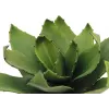 EUROPALMS Agave mākslīgais augs, EVA, zaļš, 35 cm 82530576