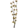 EUROPALMS Torfmyrte zari ar LED, 180 cm 83330312