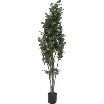 EUROPALMS Schefflera mākslīgais augs, 120cm, zaļš 82600157
