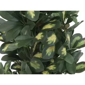 EUROPALMS Schefflera mākslīgais augs, 120cm, zaļš 82600157