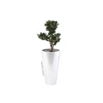 EUROPALMS Leichtsin Elegance-69 sudraba spīdīga dekoratīvā figūra 83011856