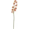 EUROPALMS mākslīgais Cymbidium zars, krēmkrāsas-rozā, 90cm 82530311