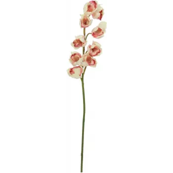 EUROPALMS mākslīgais Cymbidium zars, krēmkrāsas-rozā, 90cm 82530311