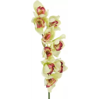 EUROPALMS mākslīgais Cymbidium orhidejas zars, zaļš, 90cm 82530313